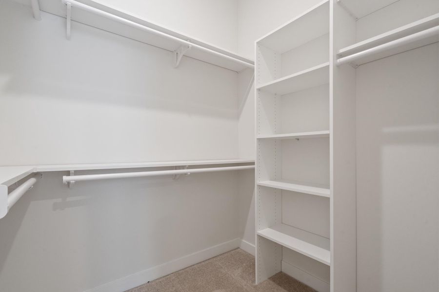 Expansive walk-in closet featuring white built-in shelving, multiple hanging rods, and neutral carpet flooring