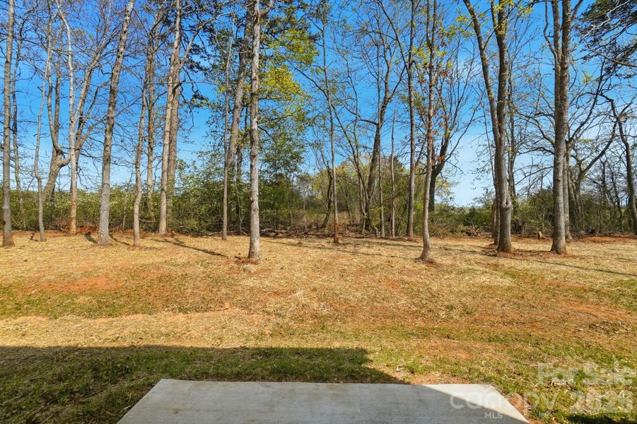Natural landscape and outdoor views near  in Lincolnton (Image 43).