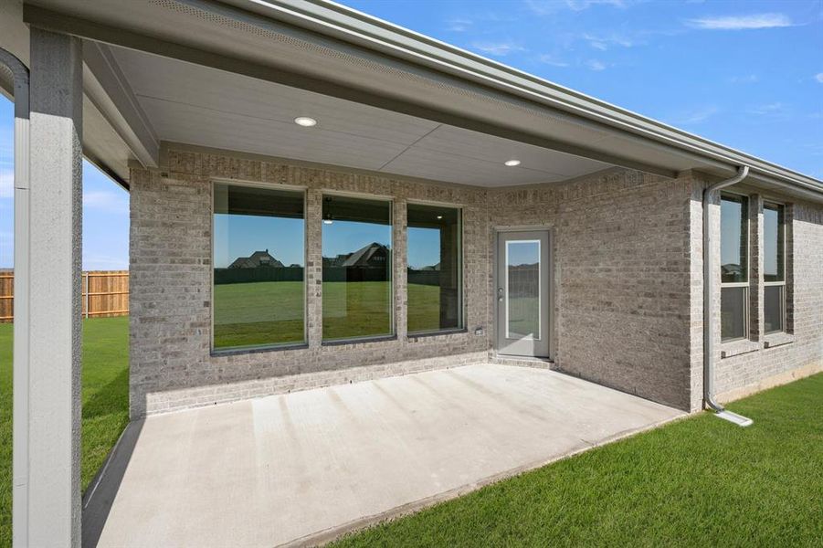 109 Grey wolf- Back-3