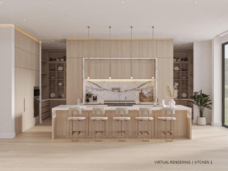 Kitchen 1 VIRTUAL RENDERING