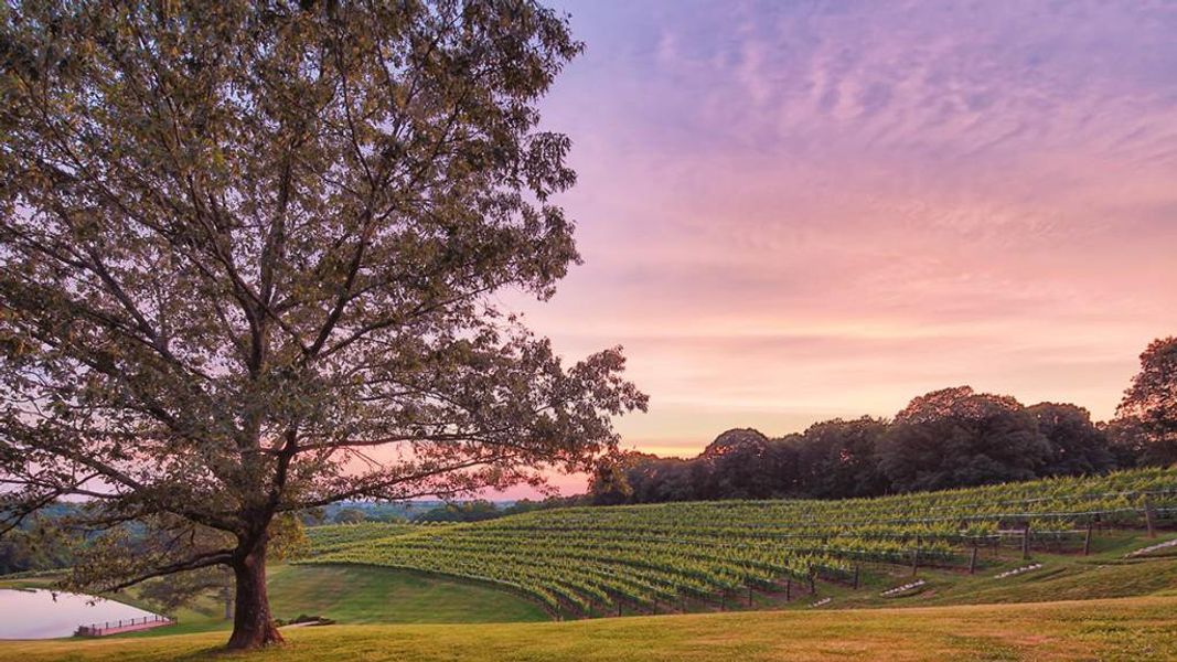 Natural landscape and outdoor views near Mountain Park in Dahlonega (Image 40). Natural landscape and outdoor views near Mountain Park in Dahlonega (Image 40).