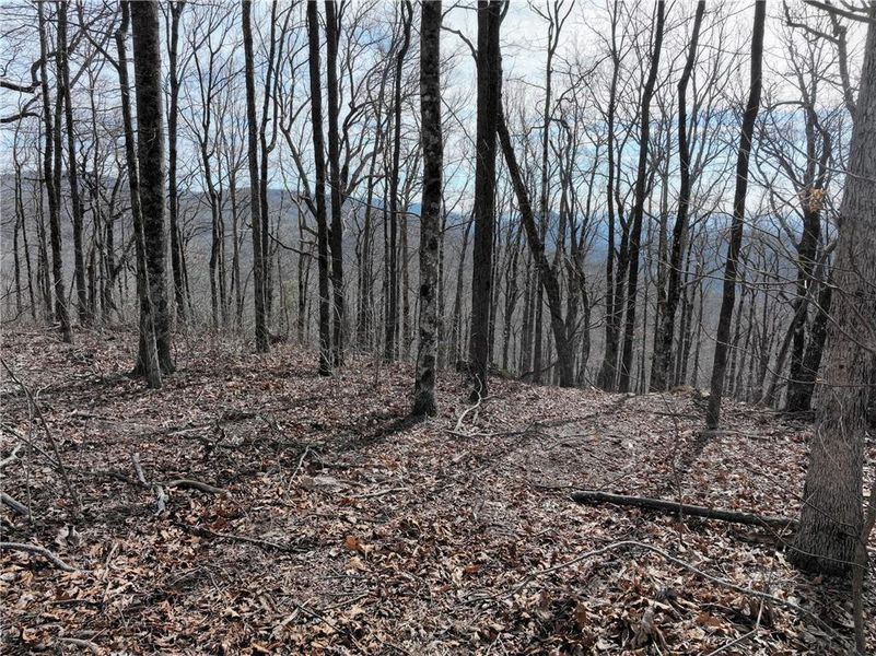 Image 36 of a home in .