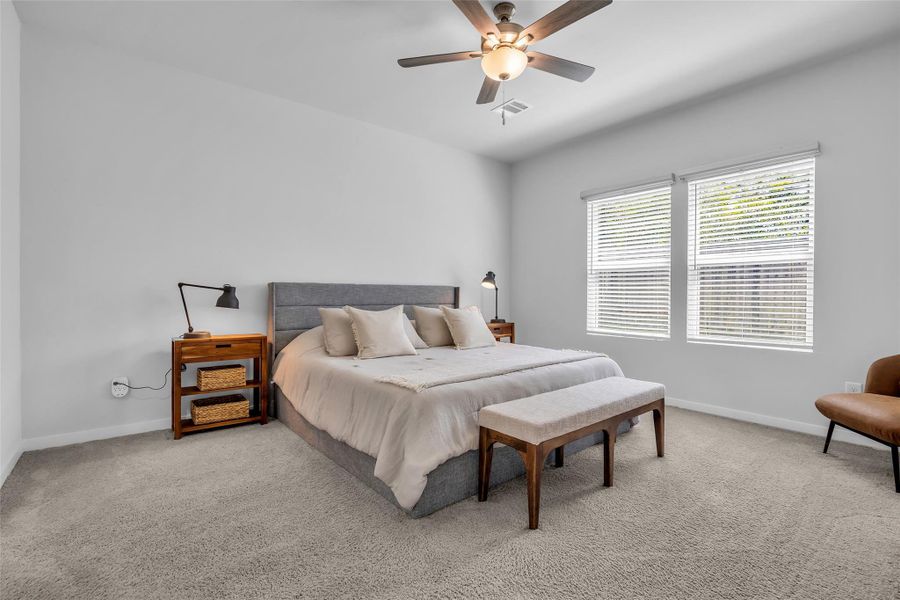 Master Bedroom natural light