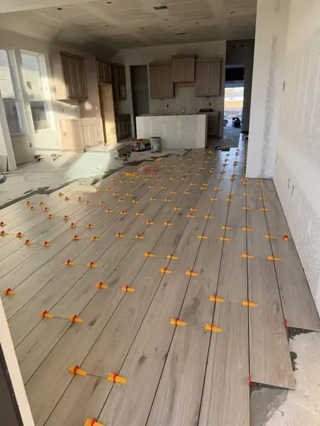 Home Progress 2025 Home Progress 2025