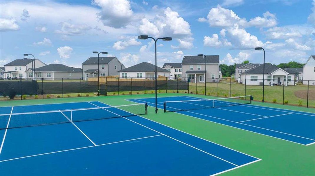 Community amenities in Preserve at Dove Creek, Statham (Image 31).