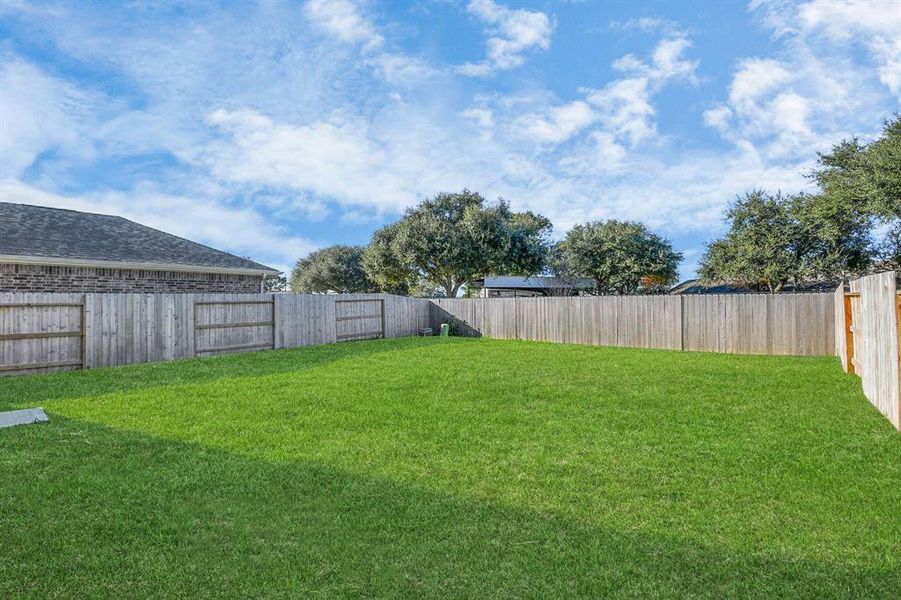 Spacious Back Yard.