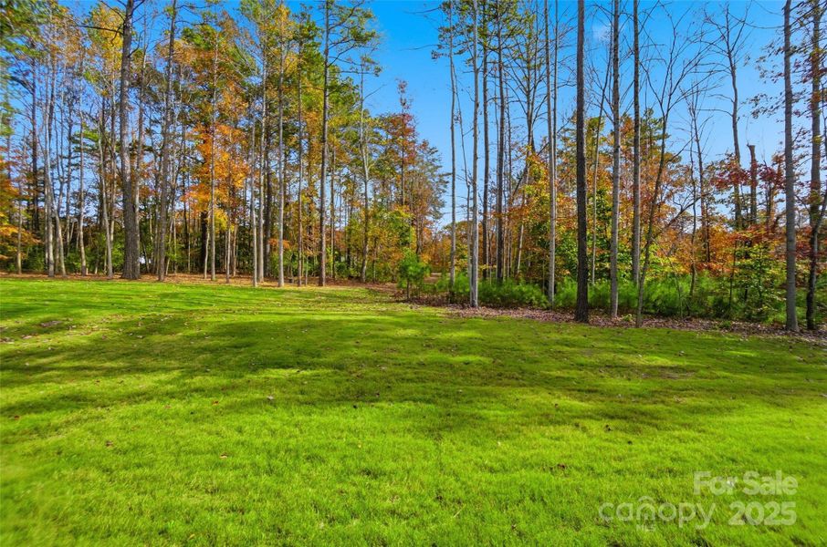 Natural landscape and outdoor views near Rone Creek in Waxhaw (Image 47). Natural landscape and outdoor views near Rone Creek in Waxhaw (Image 47).