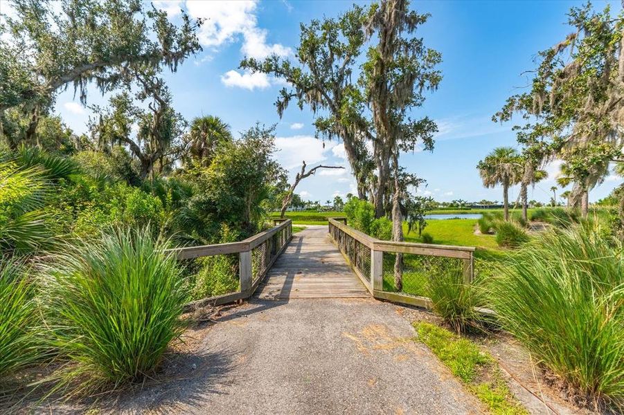 Natural landscape and outdoor views near in Sarasota (Image 77). Natural landscape and outdoor views near in Sarasota (Image 77).