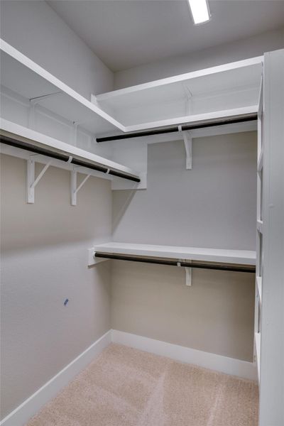 Spacious closet with carpet flooring