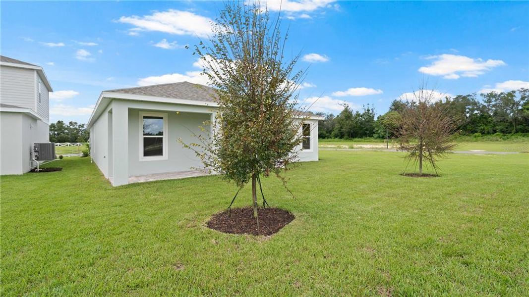 Front exterior of a new home in Trailside, Mount Dora, FL, highlighting curb appeal (Image 20).