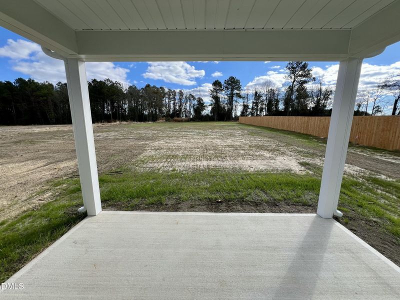 IMG_7175 2 IMG_7175 2