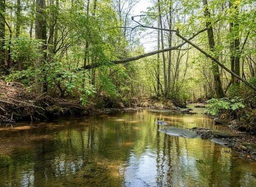 Natural landscape and outdoor views near  in Talking Rock (Image 49).