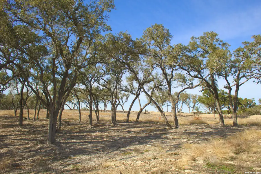 Natural landscape and outdoor views near in Canyon Lake (Image 12). Natural landscape and outdoor views near in Canyon Lake (Image 12).