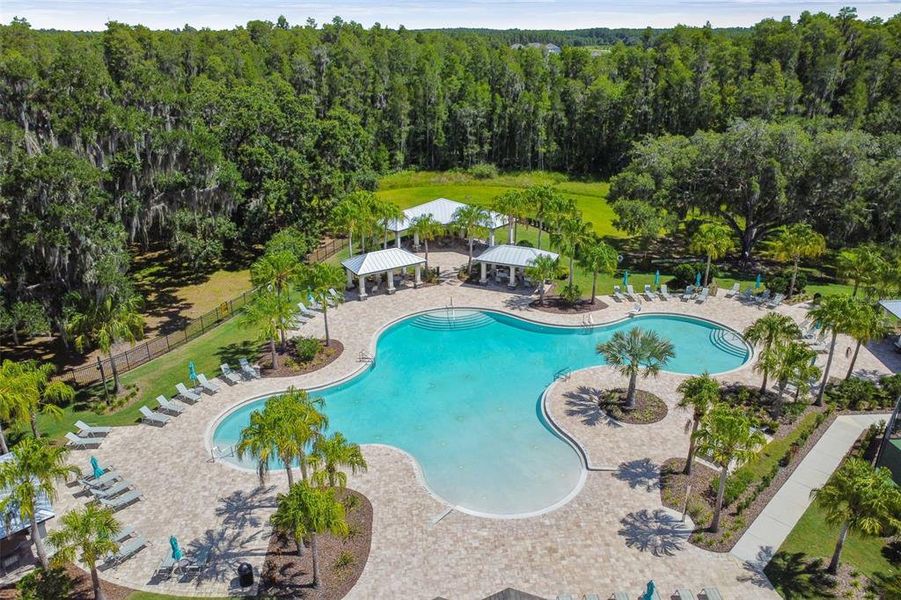 Community amenities in , Tampa (Image 33).