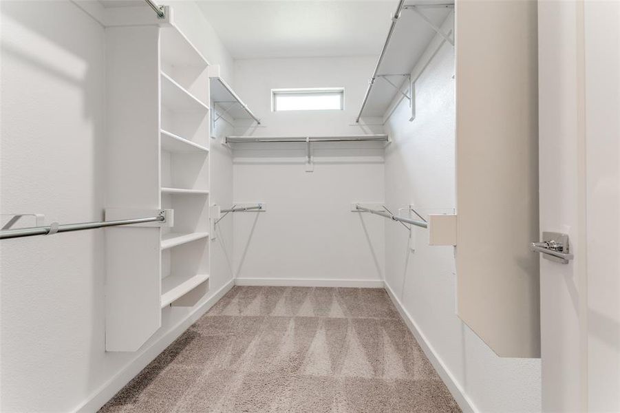 Walk in closet with carpet