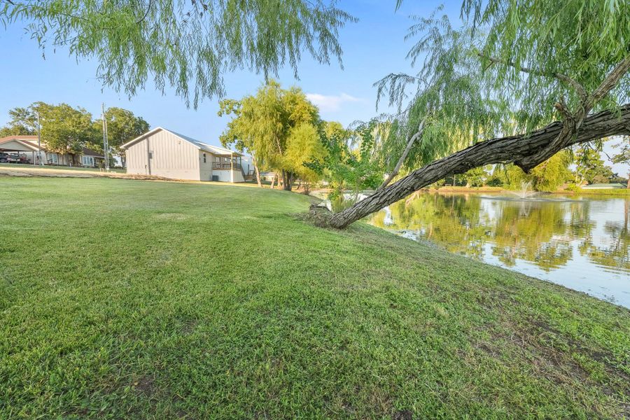 Natural landscape and outdoor views near  in Point Blank (Image 41).