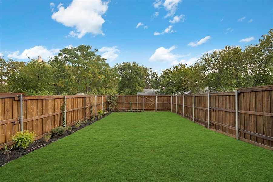 View of fenced backyard