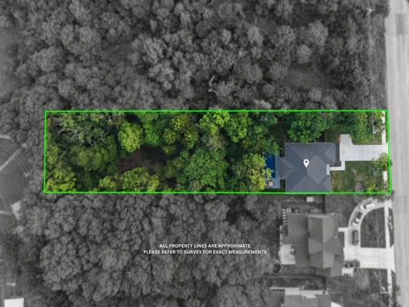 Aerial property depiction showcasing extensive mature tree coverage