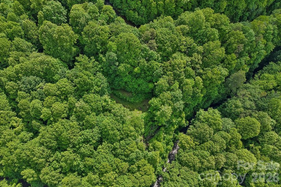 Natural landscape and outdoor views near  in Maggie Valley (Image 20).