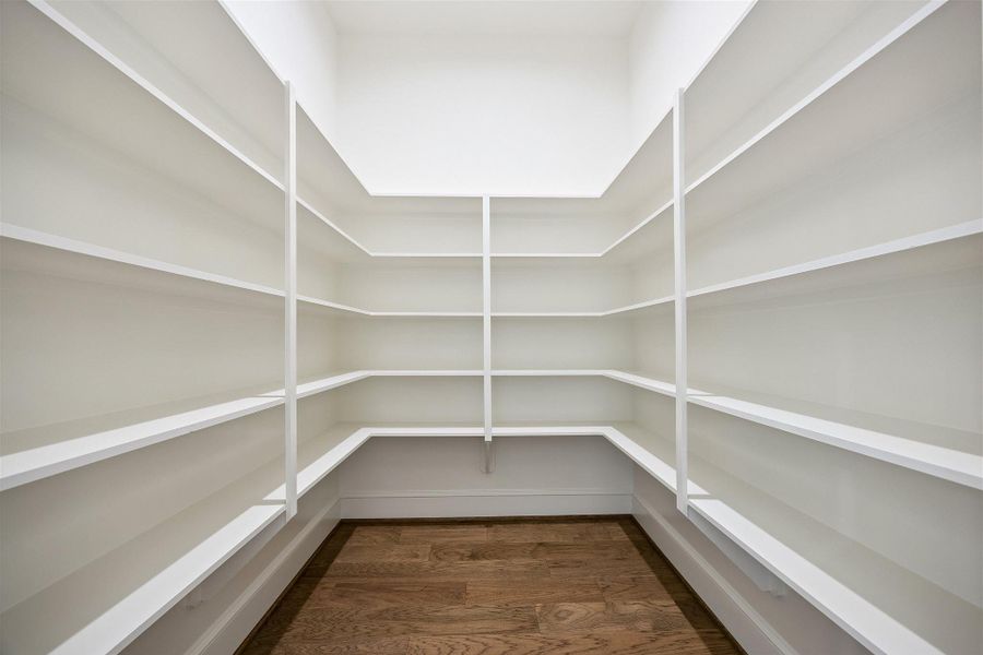 Spacious walk-in pantry off of kitchen