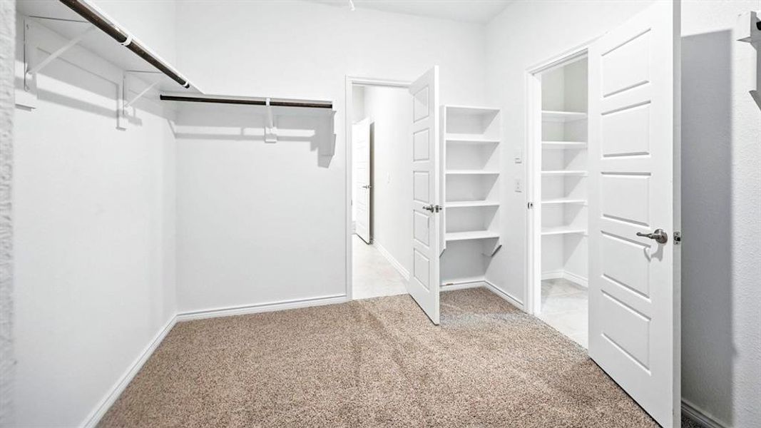Carpeted room with a built-in closet system featuring a hanging rod and shelving
