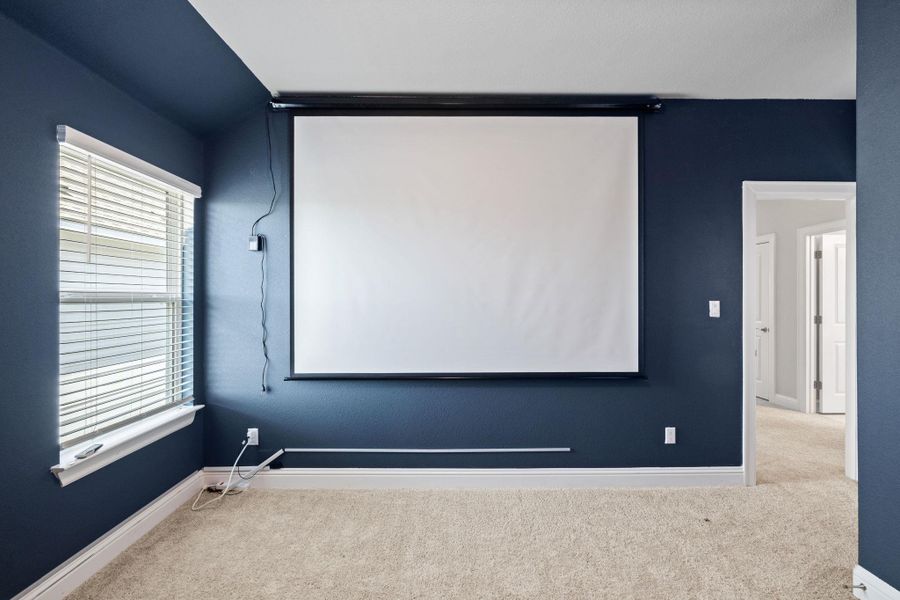 Home theater room with carpet floors and baseboards Home theater room with carpet floors and baseboards