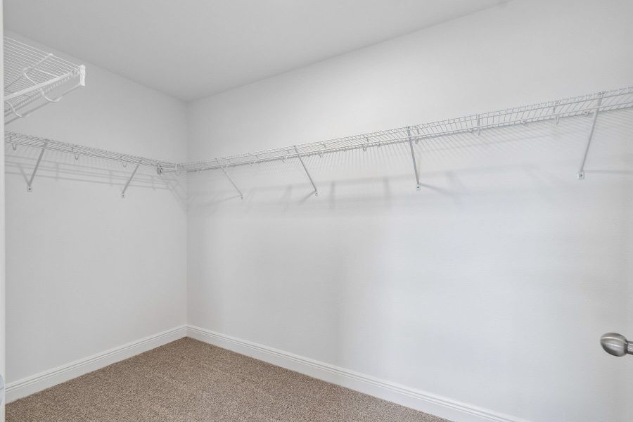 Owner's Closet