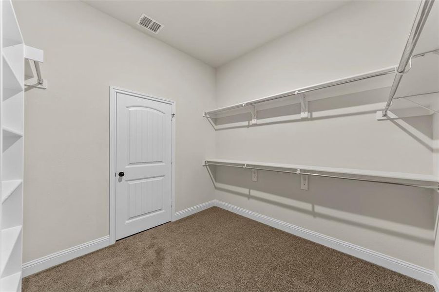 Walk in closet featuring carpet