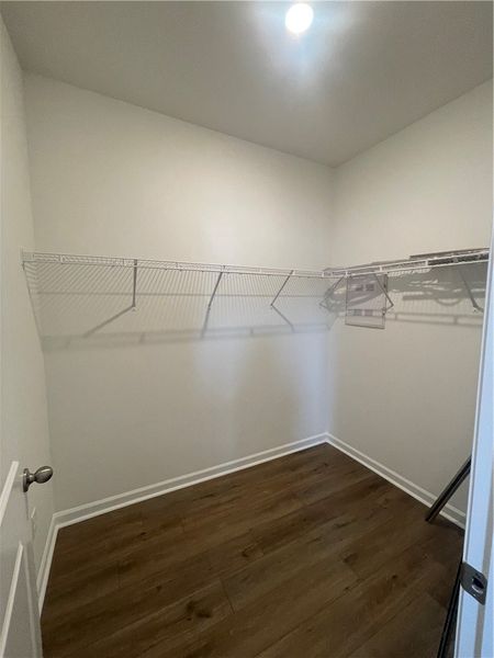 Spacious, unfurnished interior of a new home in Springwood Grove, Central (Image 14).