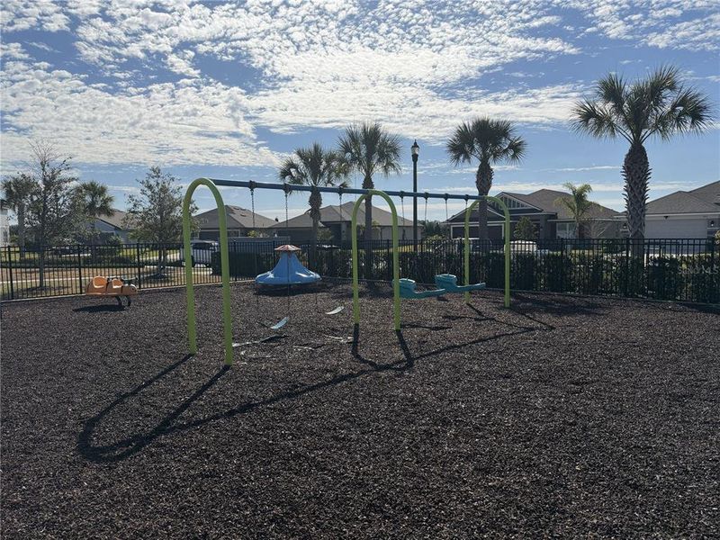 Community amenities in Aviary at Rutland Ranch, Parrish (Image 40).
