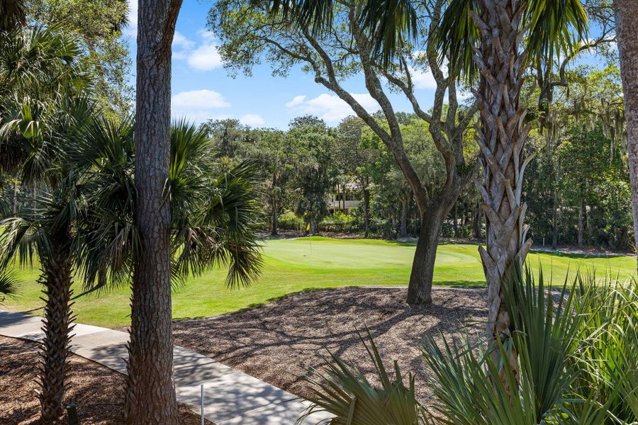 Natural landscape and outdoor views near  in Johns Island (Image 32).