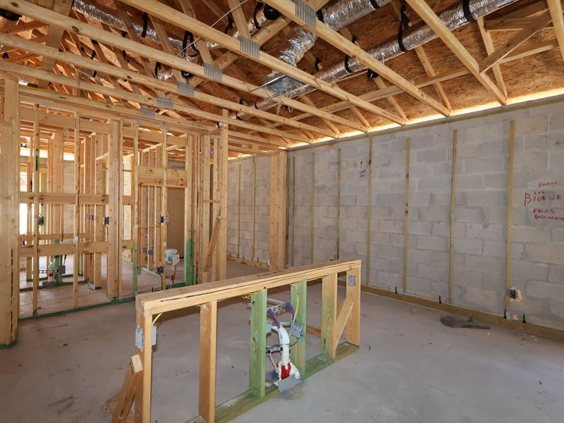 Framing Framing