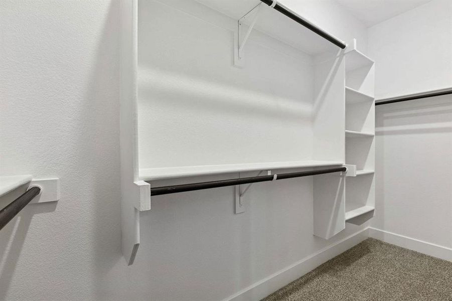 2101 Hazel Lily 2101 Hazel Lily