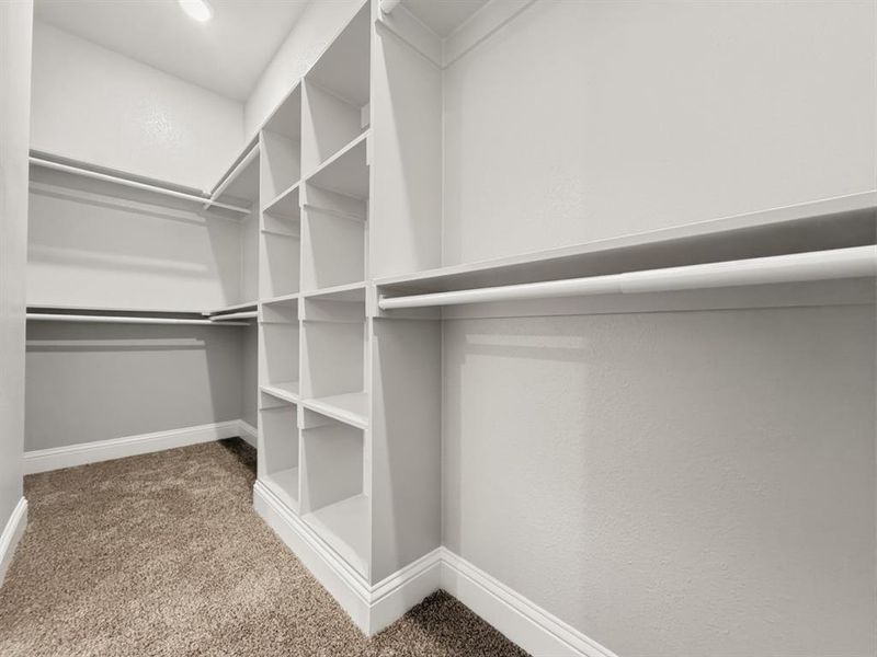 Walk in closet with light carpet located in master bedroom