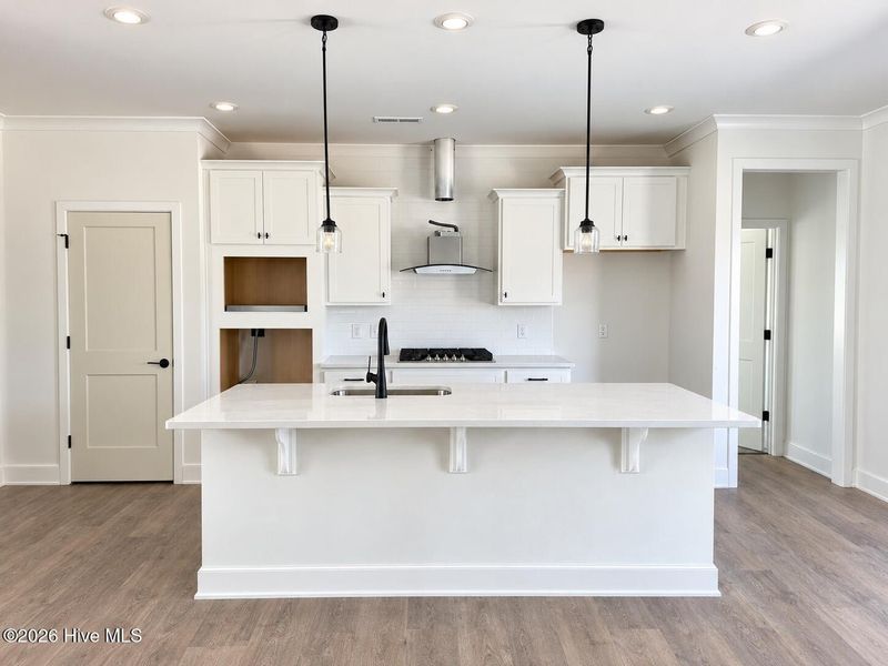 Furnished interior view inside a new home in East Lake, Leland (Image 5).