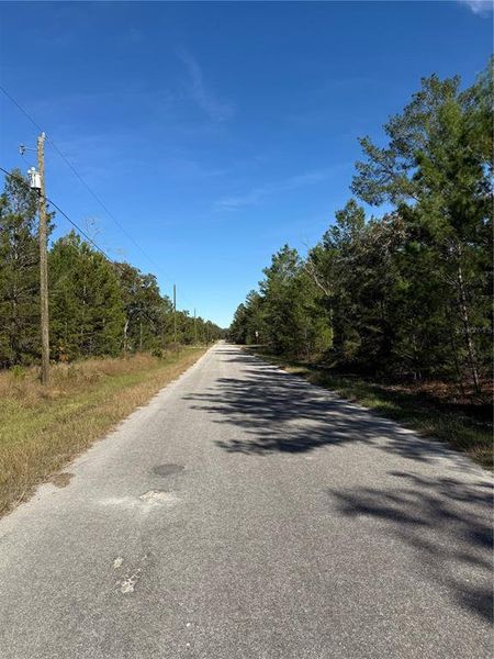 Natural landscape and outdoor views near  in Ocklawaha (Image 21).