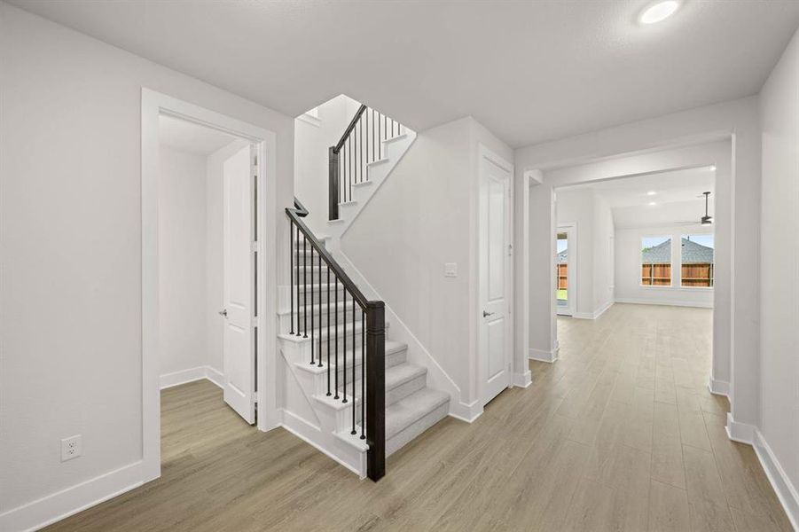 Discovery Collection at Bridgewater