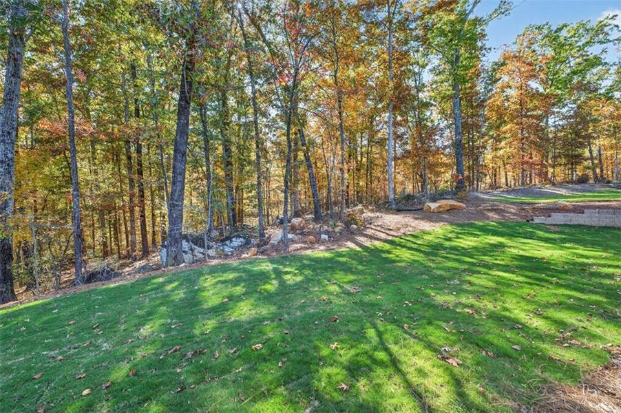 Natural landscape and outdoor views near  in Jefferson (Image 80).
