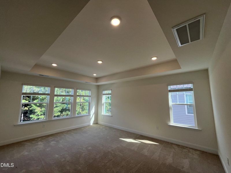Primary Suite w/Tray Ceiling