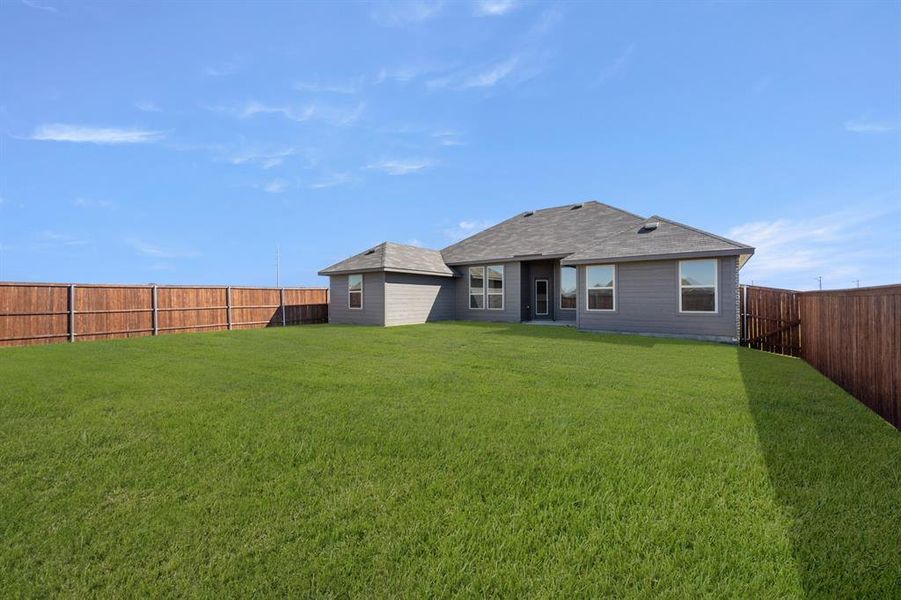 233 Mercy- Back-1 233 Mercy- Back-1