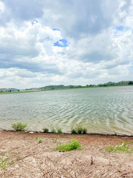 Natural landscape and outdoor views near  in Winter Haven (Image 27).