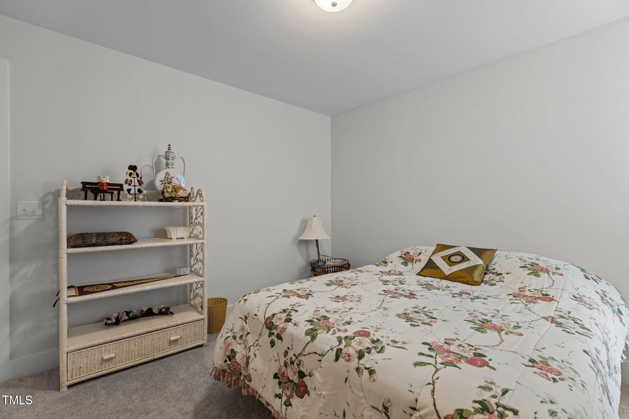 33-web-or-mls-2N6A4969