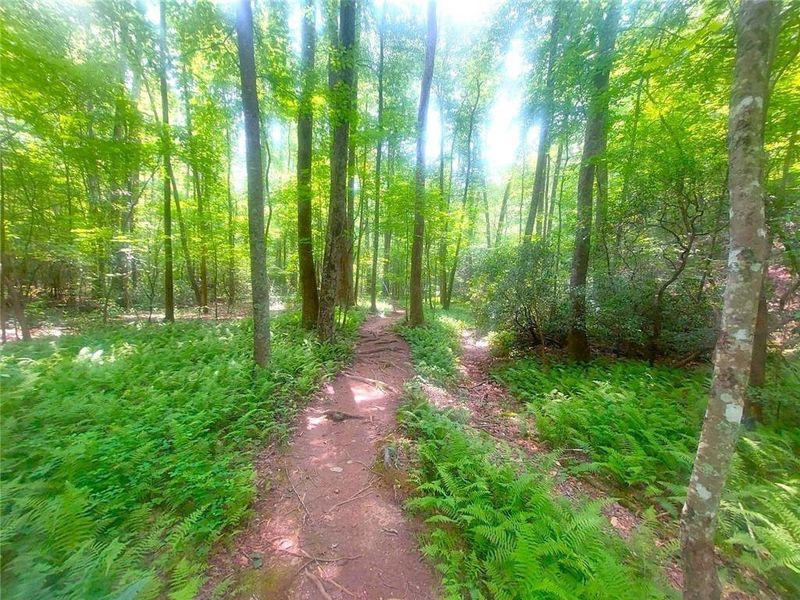 Natural landscape and outdoor views near  in Jasper (Image 21).