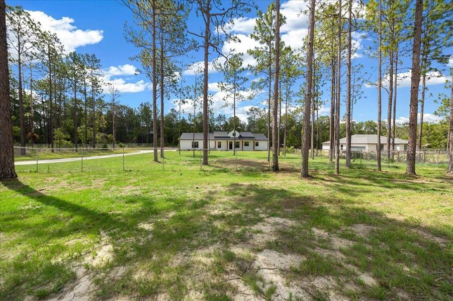 Natural landscape and outdoor views near  in Ocala (Image 30).