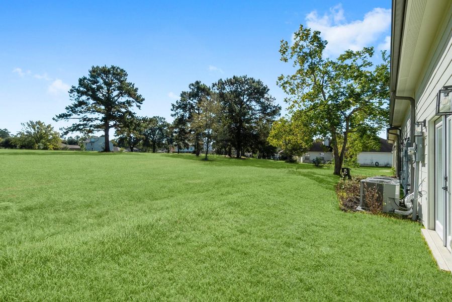 *grass enhanced by photographer*