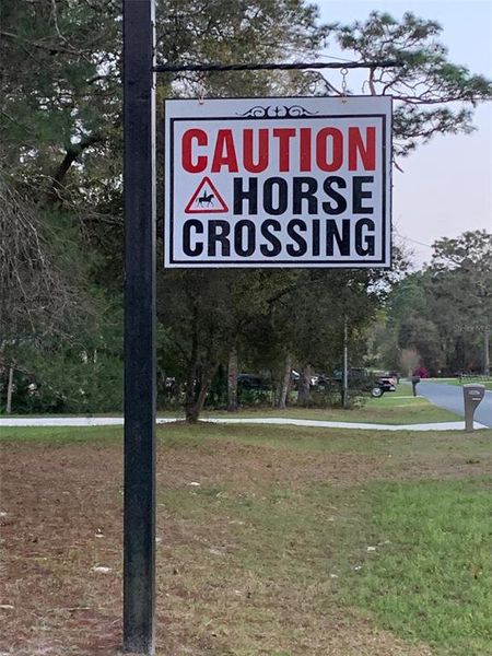 Image 5 of a home in Pine Ridge.