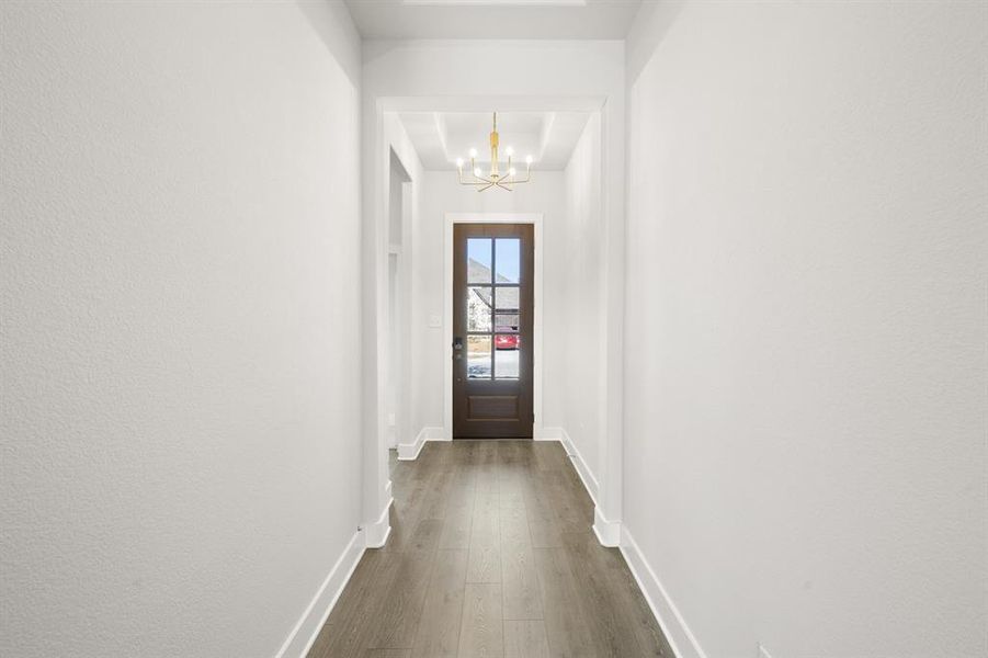 478 Red Maple- Entry-1