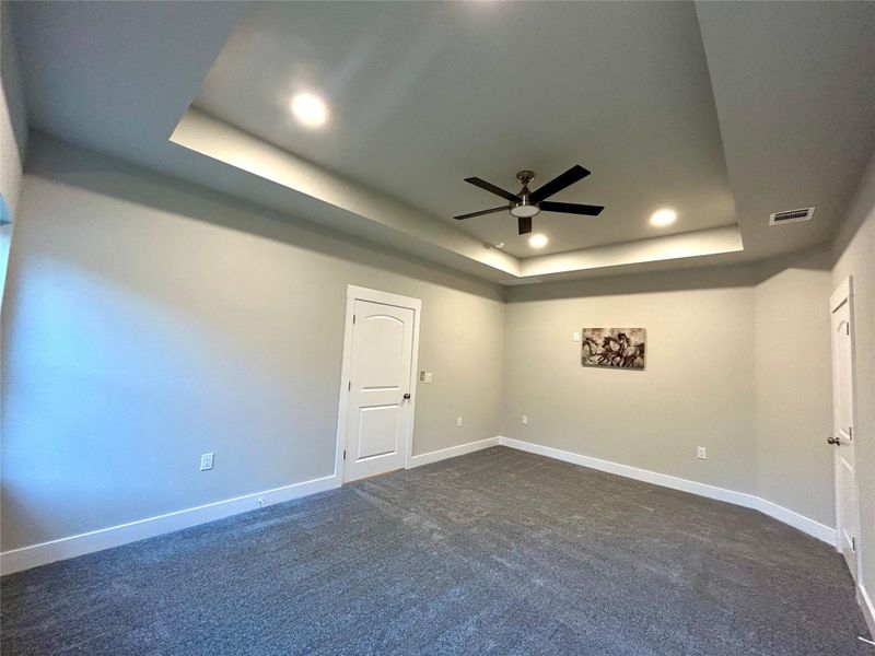 Primary bedroom with tray ceiling.