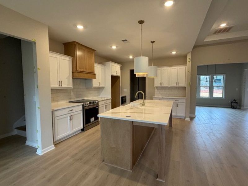 Furnished interior view inside a new home in Blackwelder Bluff, Bowdon (Image 9).