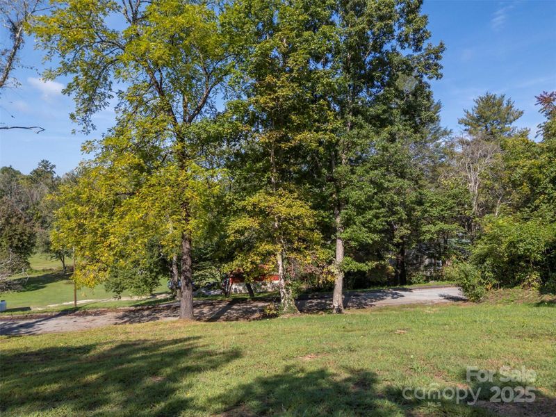 Natural landscape and outdoor views near  in Hendersonville (Image 23).